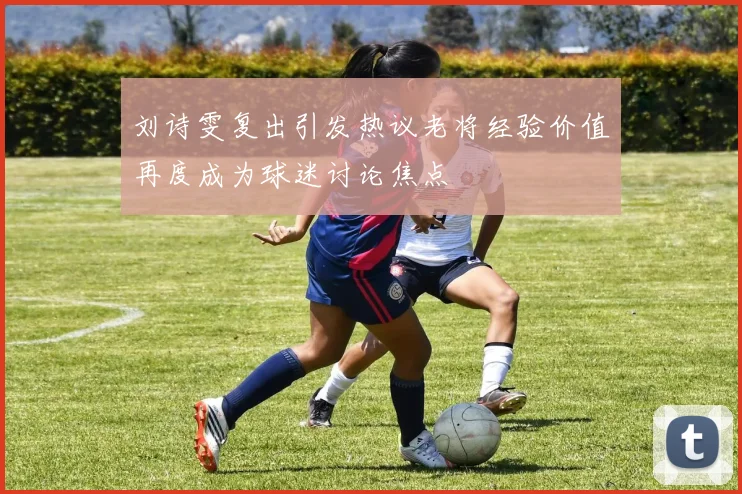 刘诗雯复出引发热议老将经验价值再度成为球迷讨论焦点